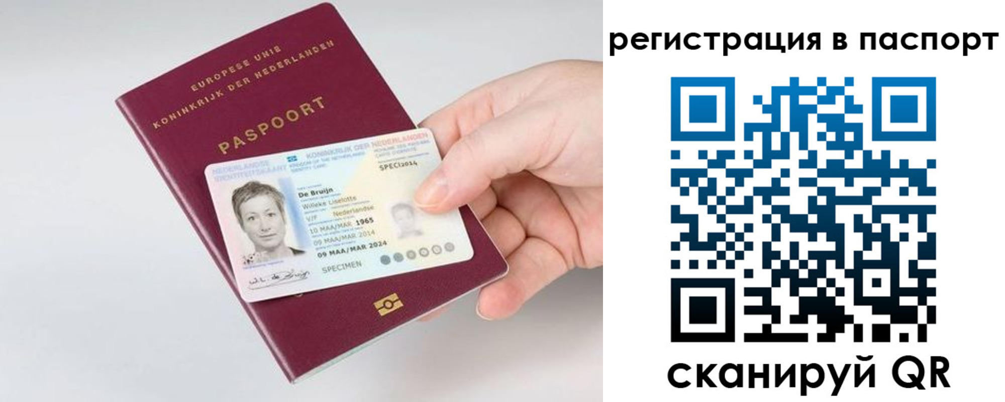 временная регистрация собственник в Чите